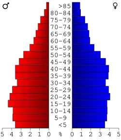 Bevolkingspiramide Richmond County