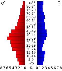 Bevolkingspiramide Richmond County