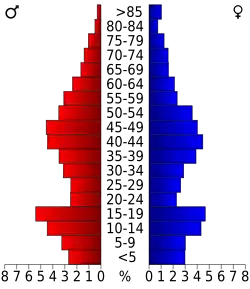 Bevolkingspiramide Rio Blanco County