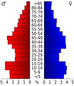 Bevolkingspiramide Rio Grande County