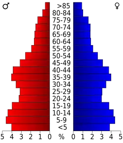 Bevolkingspiramide Riverside County
