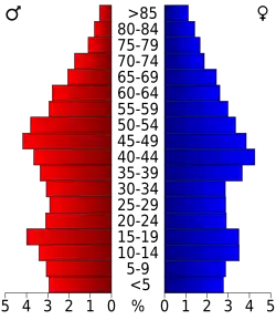 Bevolkingspiramide Roane County