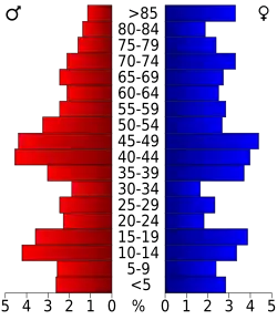 Bevolkingspiramide Rock County