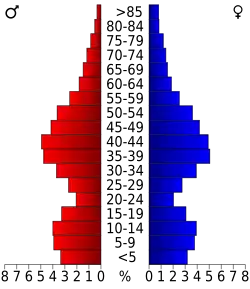 Bevolkingspiramide Rockingham County