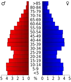 Bevolkingspiramide Rockland County