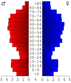 Bevolkingspiramide Roscommon County