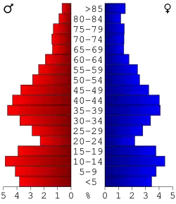 Bevolkingspiramide Roseau County