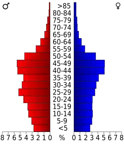 Bevolkingspiramide Routt County