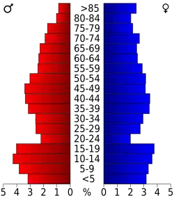 Bevolkingspiramide Runnels County