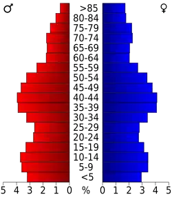 Bevolkingspiramide Schenectady County