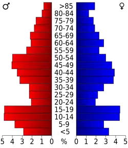 Bevolkingspiramide Schleicher County