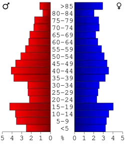 Bevolkingspiramide Shelby County