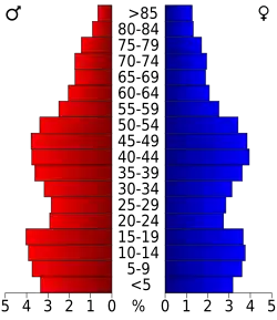 Bevolkingspiramide Skagit County
