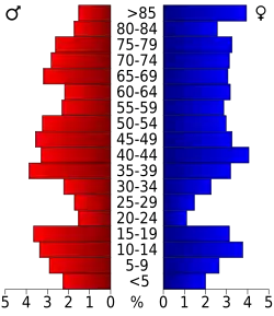 Bevolkingspiramide Smith County