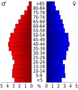 Bevolkingspiramide Smyth County