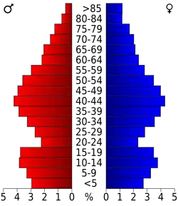 Bevolkingspiramide Somerset County