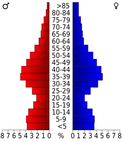Bevolkingspiramide Somerset County