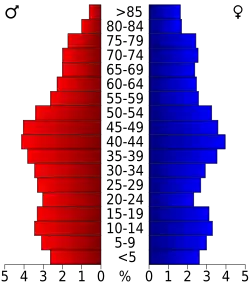 Bevolkingspiramide Somerset County