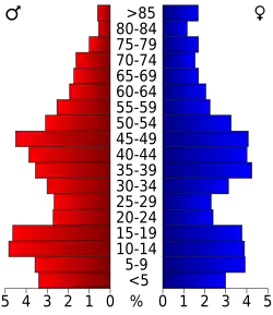Bevolkingspiramide Somervell County