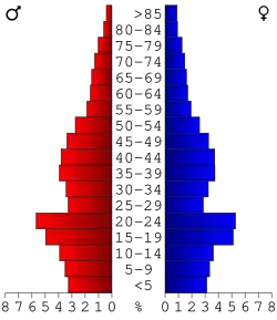 Bevolkingspiramide Stearns County