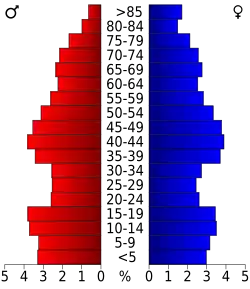 Bevolkingspiramide Stephens County