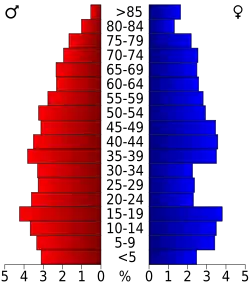 Bevolkingspiramide Stephens County
