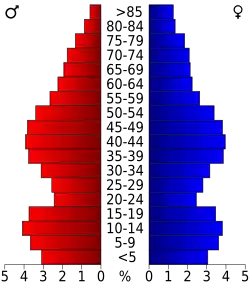 Bevolkingspiramide Steuben County