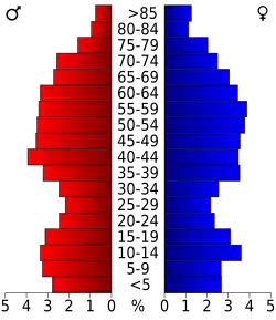 Bevolkingspiramide Stone County