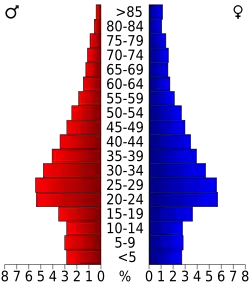 Bevolkingspiramide Suffolk County