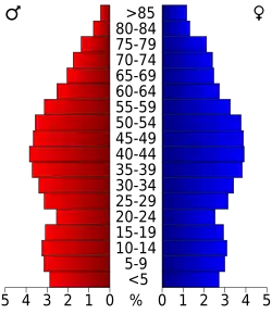 Bevolkingspiramide Sullivan County