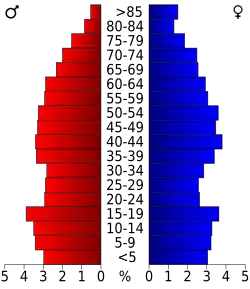 Bevolkingspiramide Suwannee County
