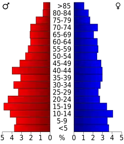 Bevolkingspiramide Swisher County