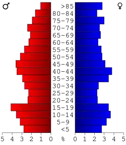 Bevolkingspiramide Taylor County