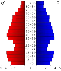 Bevolkingspiramide Texas County