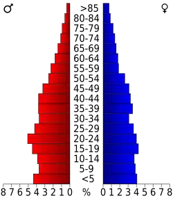 Bevolkingspiramide Texas County