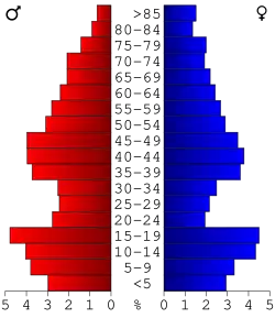 Bevolkingspiramide Todd County