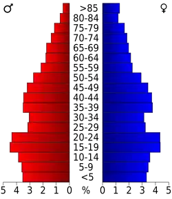 Bevolkingspiramide Tom Green County