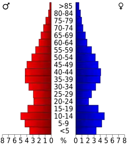 Bevolkingspiramide Torrance County