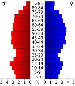 Bevolkingspiramide Transylvania County