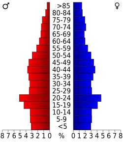 Bevolkingspiramide Vigo County