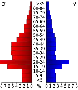 Bevolkingspiramide Walker County