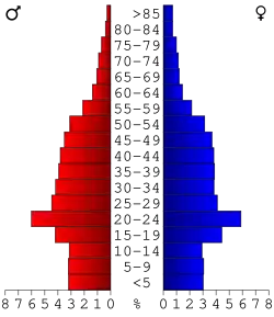 Bevolkingspiramide Washtenaw County