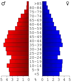 Bevolkingspiramide Wayne County