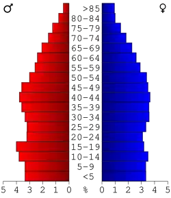 Bevolkingspiramide Wayne County