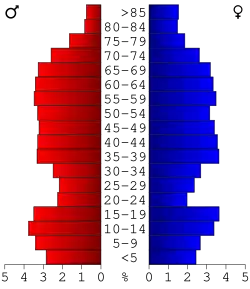 Bevolkingspiramide Wayne County