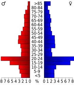 Bevolkingspiramide Wayne County