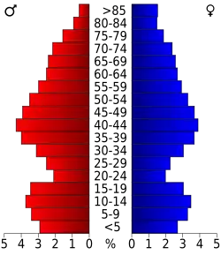 Bevolkingspiramide Wayne County