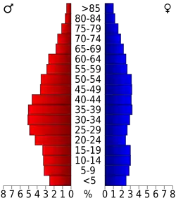 Bevolkingspiramide Wayne County