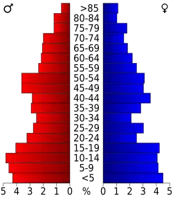 Bevolkingspiramide Wayne County