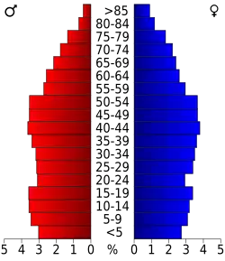Bevolkingspiramide Wayne County
